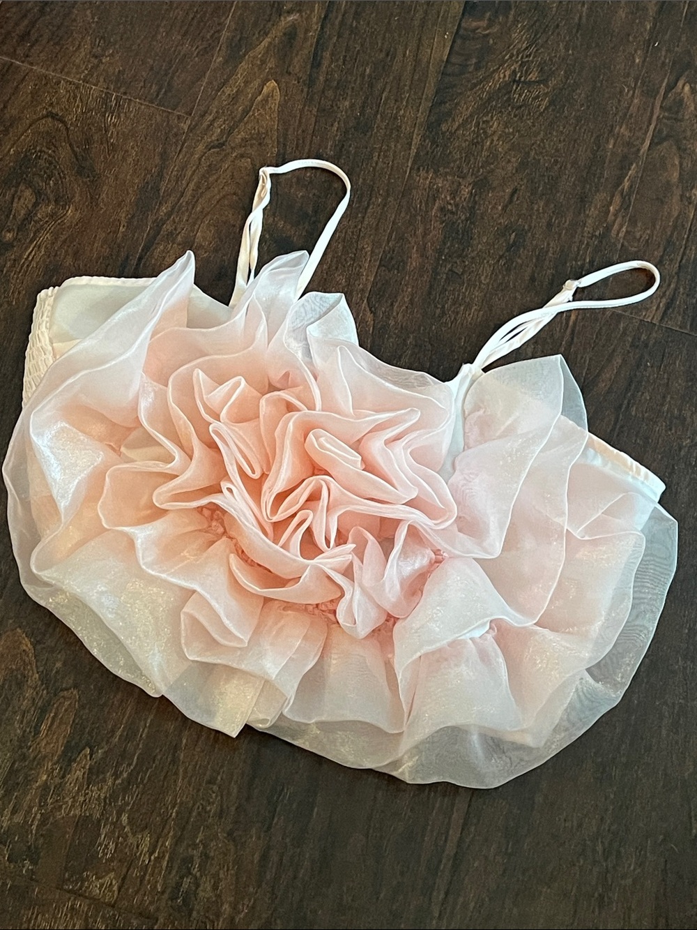 Sheer Ruffled Camisole Top in Blush Pink